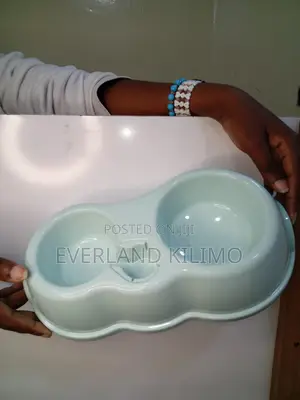 Water Dispenser Pet Bowl