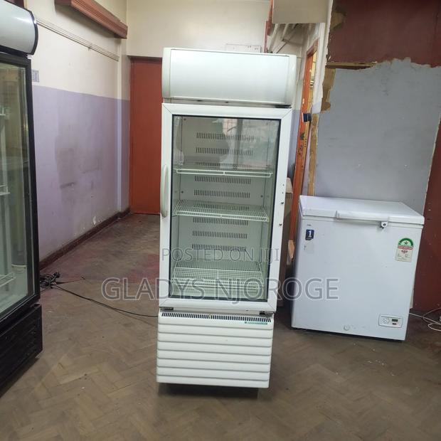 White Sanden Medium Fridge (250l) - thumbnail 2