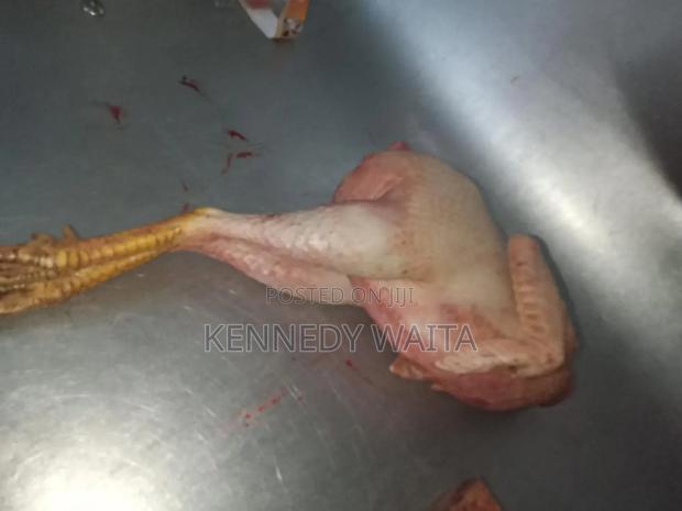 Live and Slaughtered Chicken - thumbnail 3