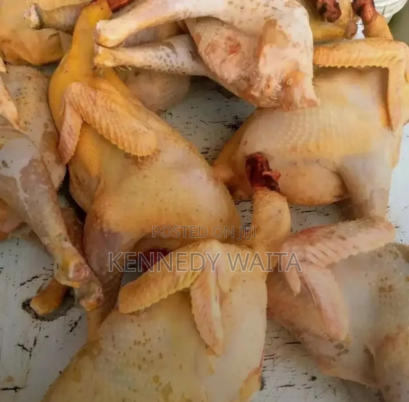 Live and Slaughtered Chicken