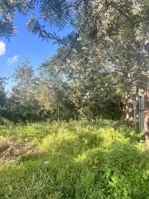 Prime Quarter Acre Residential Plot for Sale in Kandisi Ongata Rongai