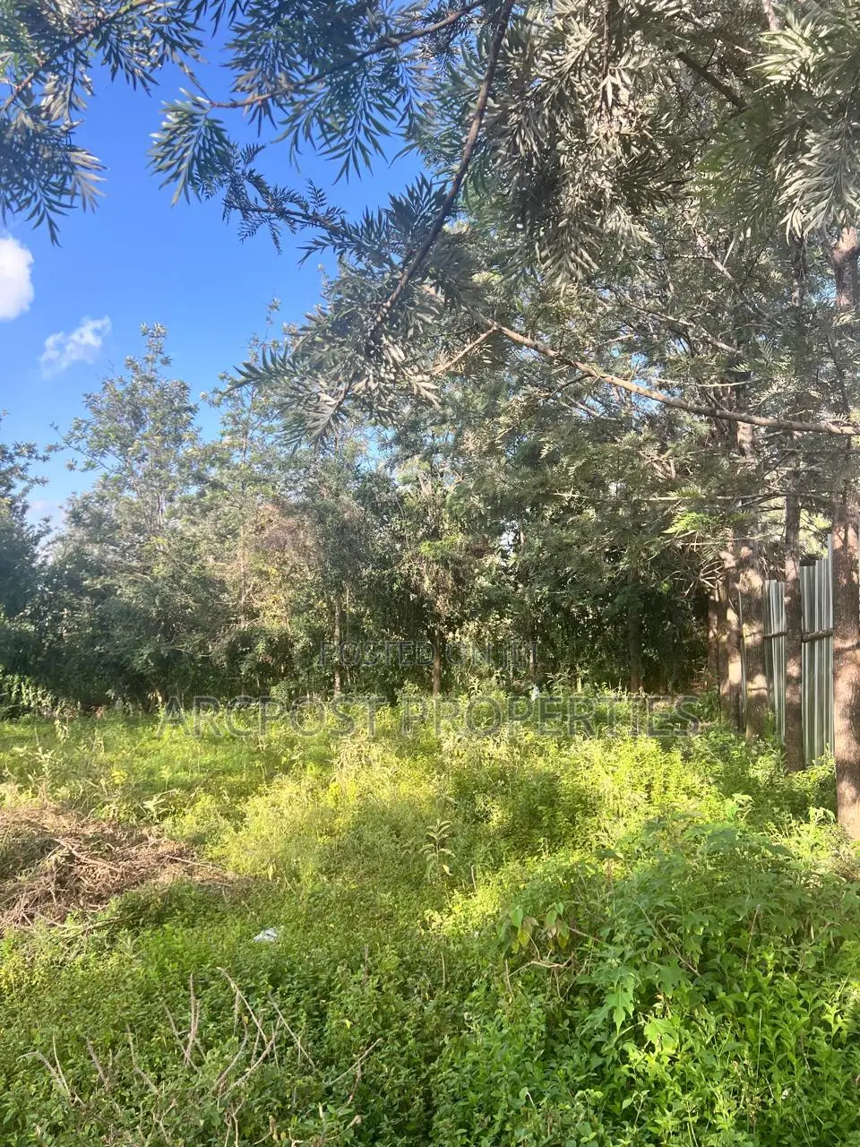 Prime Quarter Acre Residential Plot for Sale in Kandisi Ongata Rongai