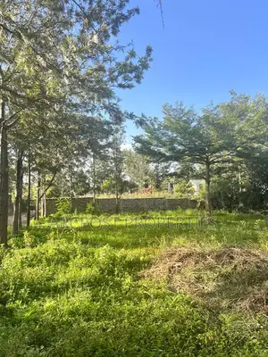 Prime Quarter Acre Residential Plot for Sale in Kandisi Ongata Rongai