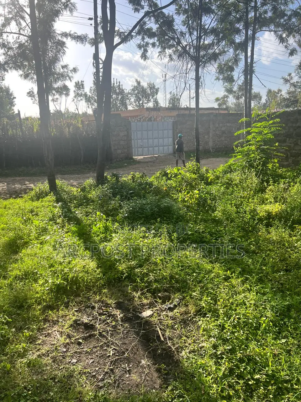 Prime Quarter Acre Residential Plot for Sale in Kandisi Ongata Rongai