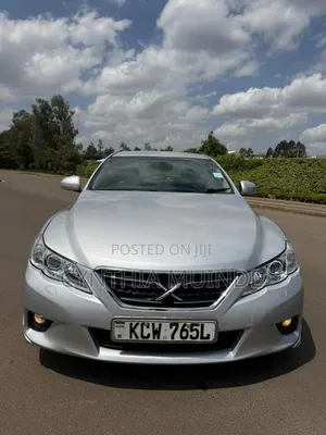 Toyota Mark X 2010 Silver