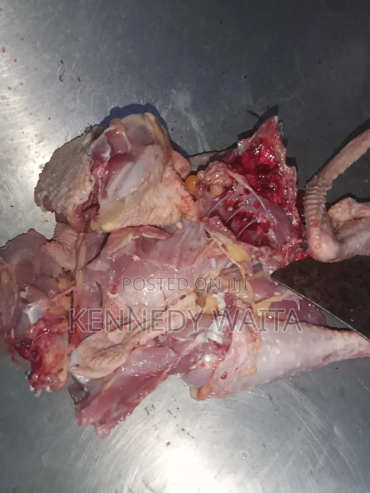 Live and Slaughtered Chicken