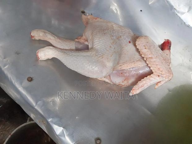 Live and Slaughtered Chicken - thumbnail 3