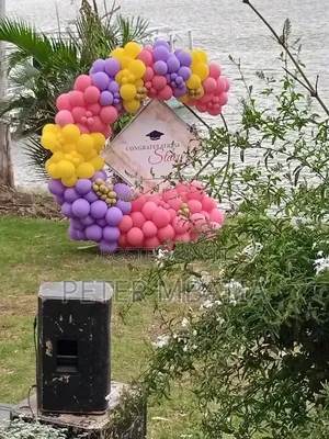 Balloon Decorations, Balloon Garlands, Events Decor,