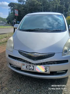 Toyota Ractis 2009 Silver