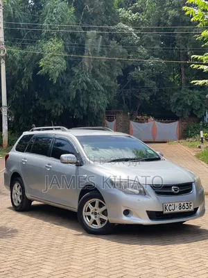 Toyota Corolla Fielder 2009 Silver