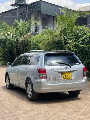 Toyota Corolla Fielder 2009 Silver