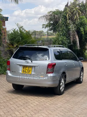 Toyota Corolla Fielder 2009 Silver