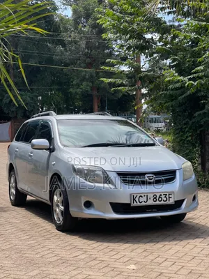 Toyota Corolla Fielder 2009 Silver