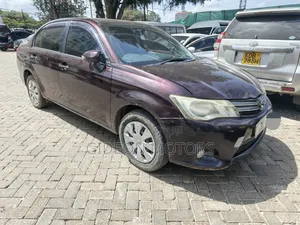 Toyota Axio 2013 Brown