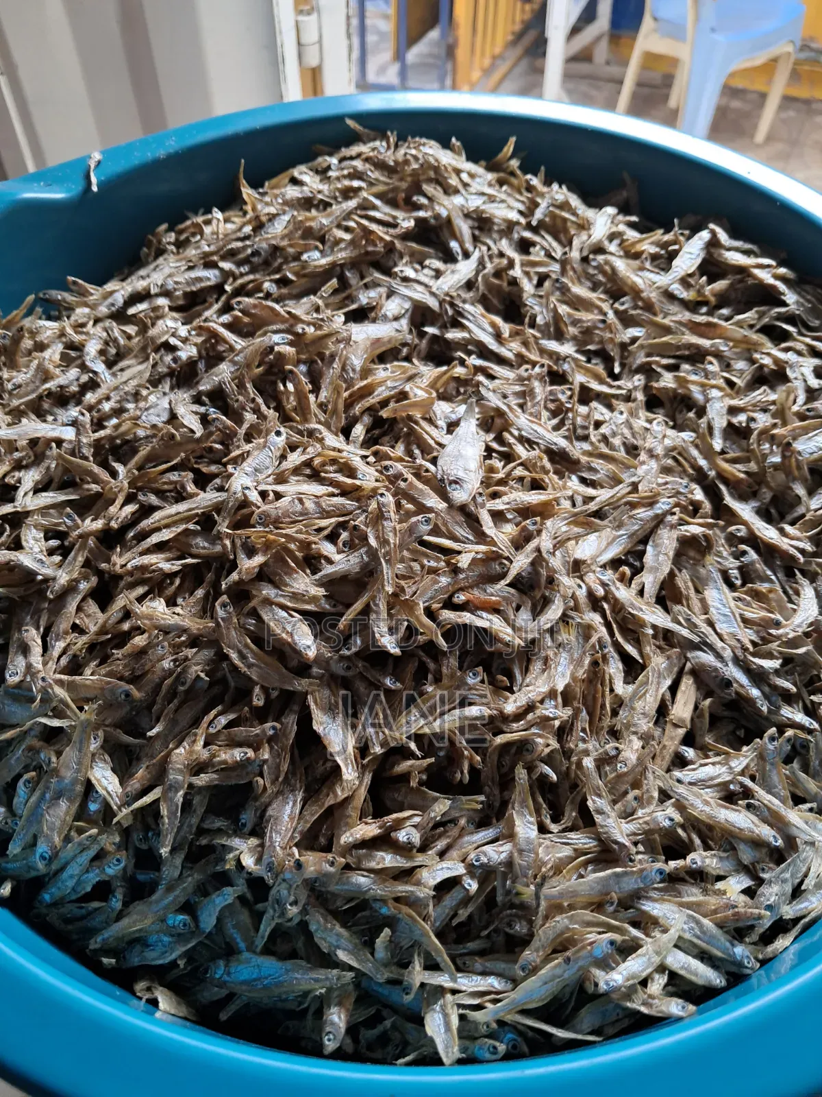 Fresh Omena
