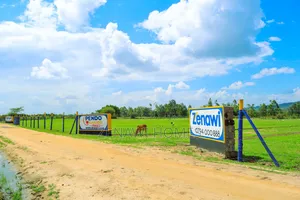 Affordable Kilimambogo Plots for Sale:Mj