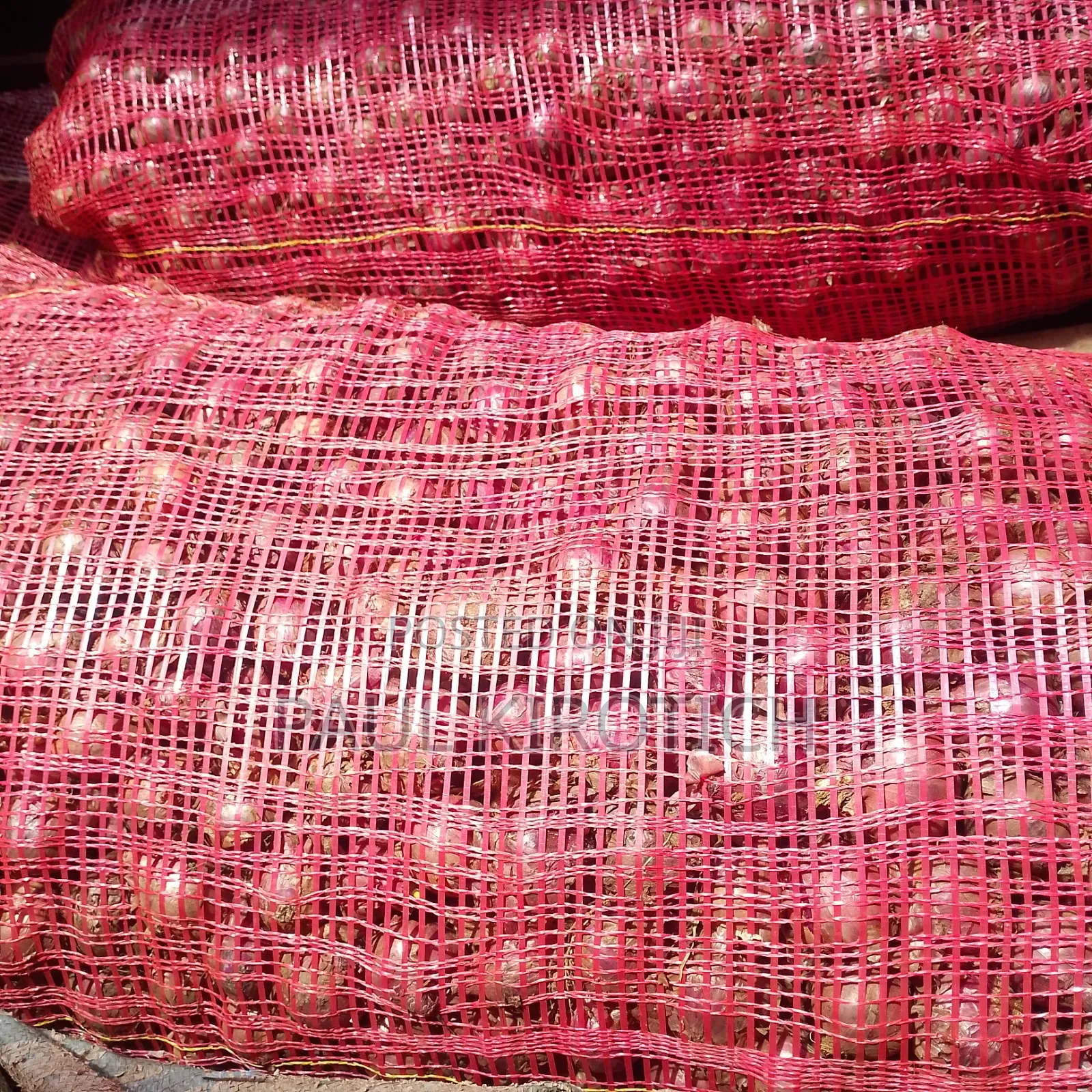 Red Onions