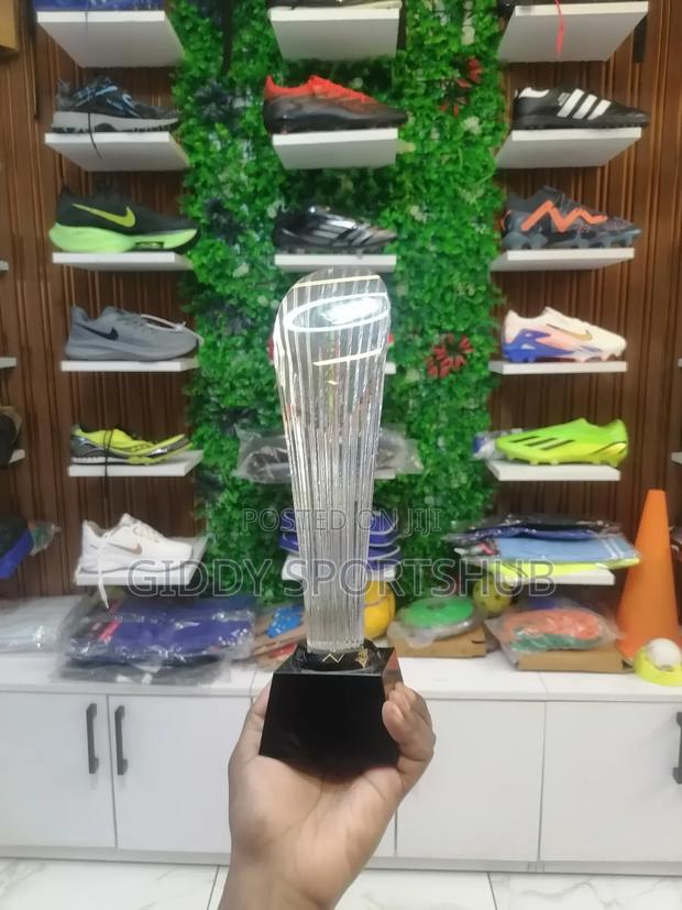 Silver Elite Champion Trophy
