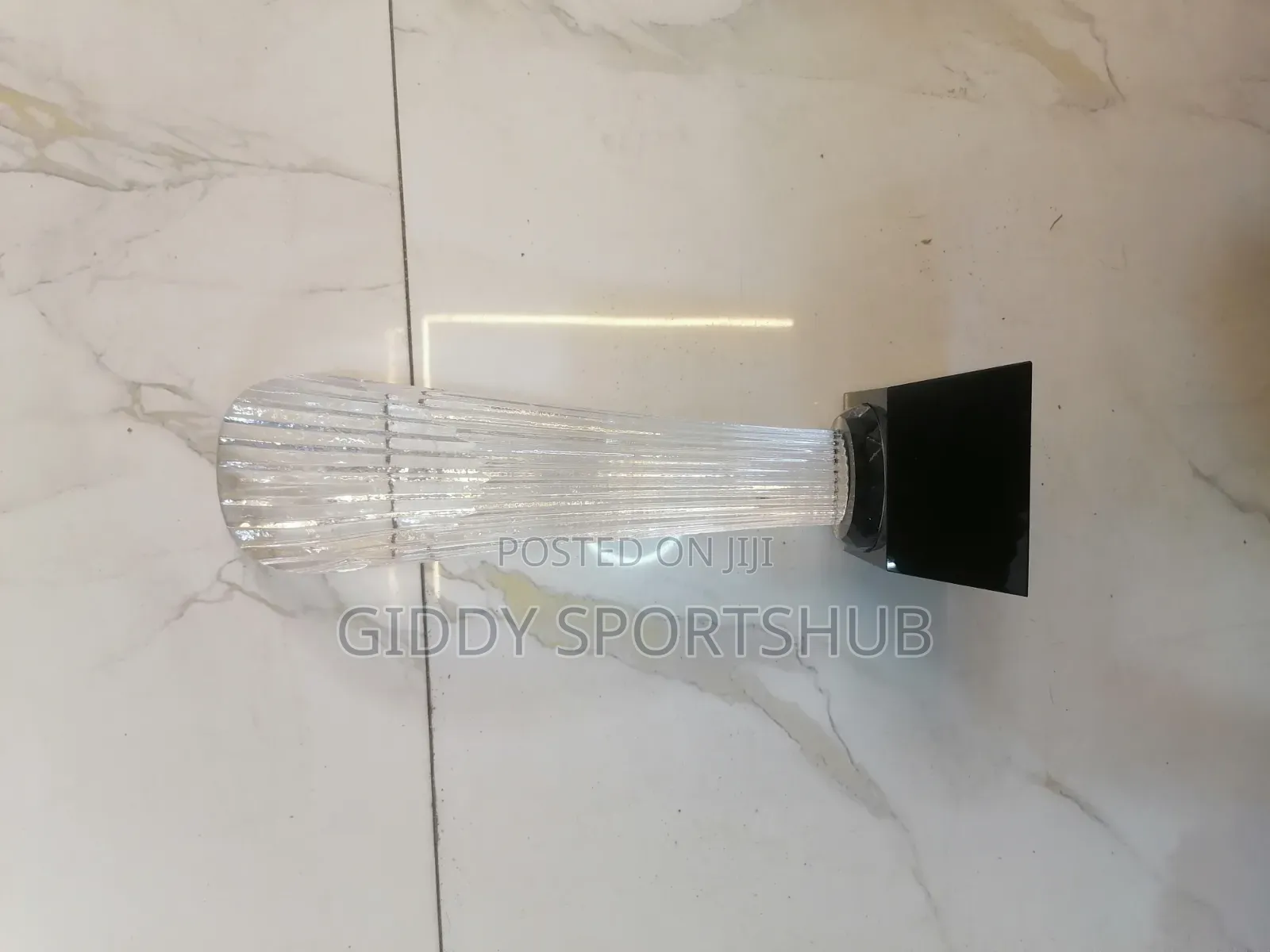 Silver Elite Champion Trophy