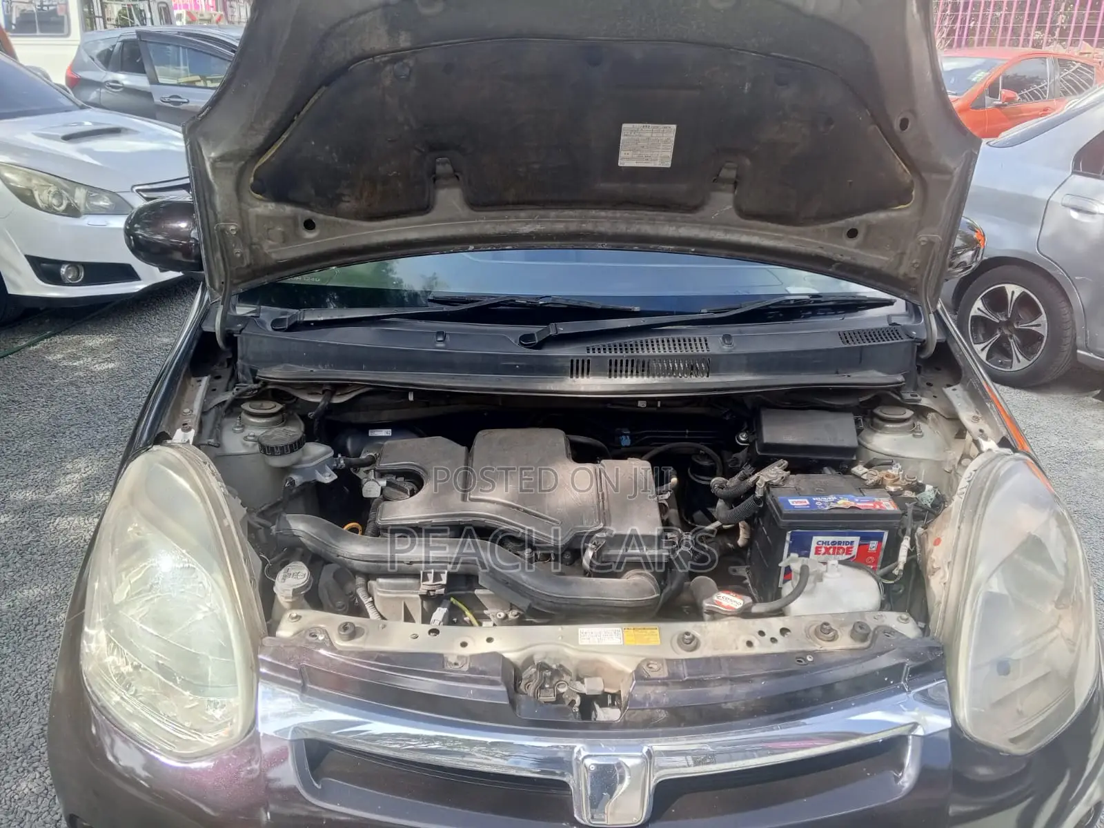 Toyota Passo 2015 Brown