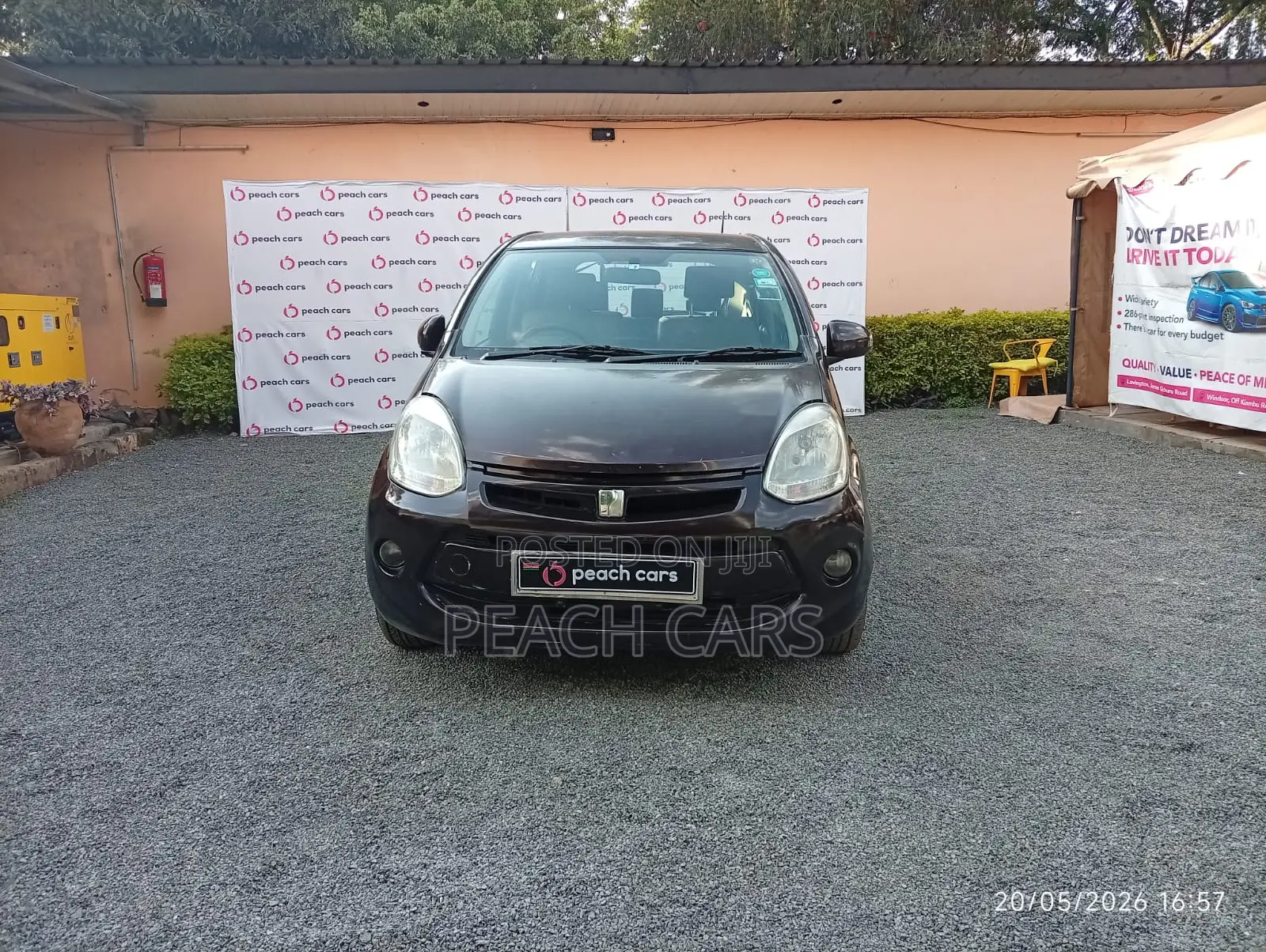 Toyota Passo 2014 Brown