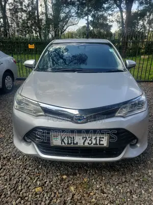 Toyota Axio 2016 Silver