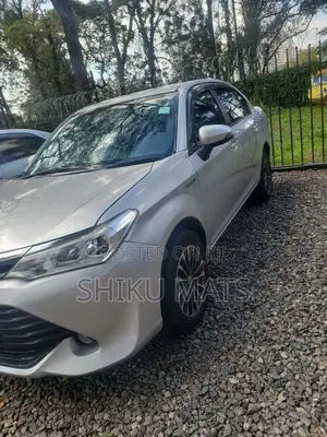 Toyota Axio 2016 Silver