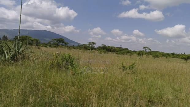 Kilimambogo Plots - thumbnail 11