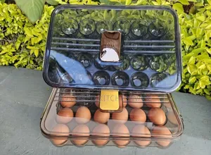 Acrylic Egg Holders