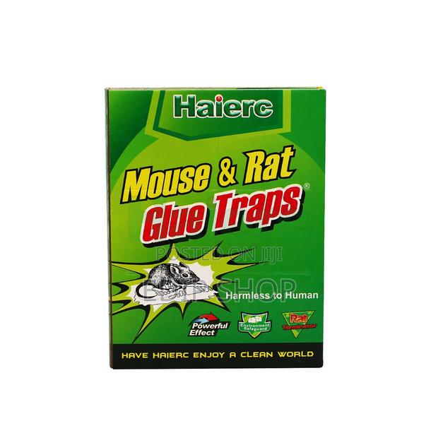 Mouse Glue Trap