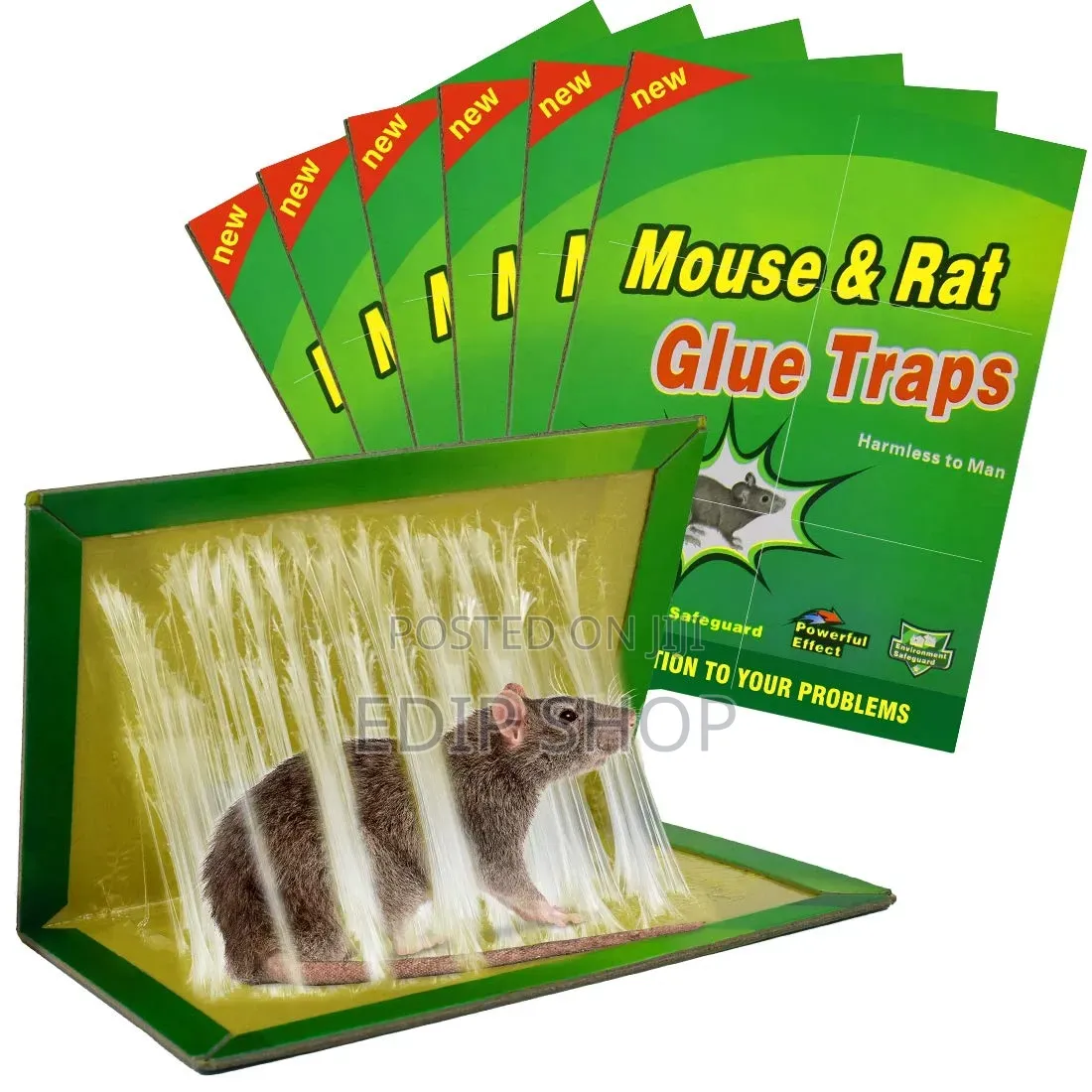 Mouse Glue Trap