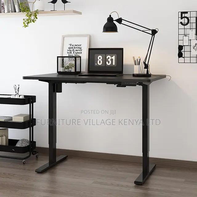 Adjustable Computer Standing Electric Controlled Desk