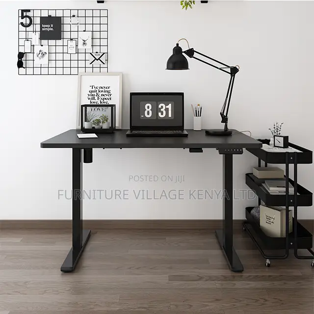 Adjustable Computer Standing Electric Controlled Desk