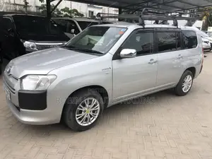 Toyota Probox 2019 Silver