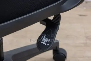 Office Chair : Black Mesh Ergonomic Office Chair -Adjustable Headrest