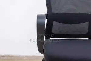 Office Chair : Black Mesh Ergonomic Office Chair -Adjustable Headrest