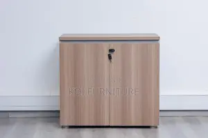 Office Cabinet : Two-Door Wooden Office Cabinet