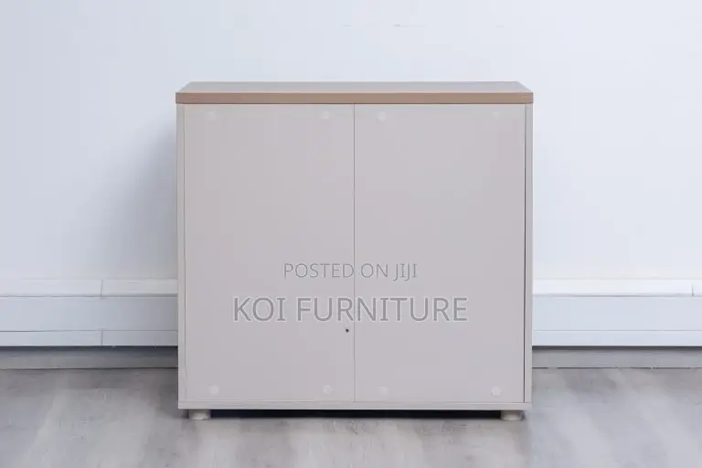 Office Cabinet : Two-Door Wooden Office Cabinet