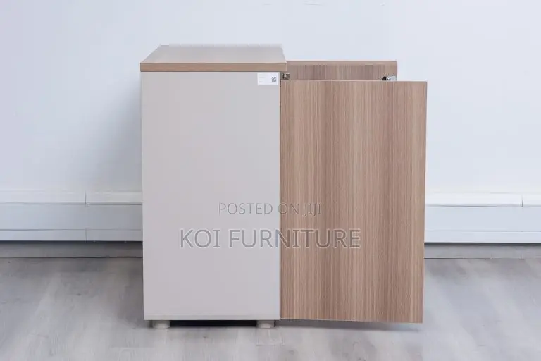 Office Cabinet : Two-Door Wooden Office Cabinet