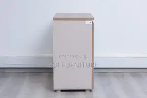 Office Cabinet : Two-Door Wooden Office Cabinet