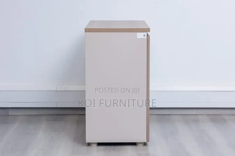 Office Cabinet : Two-Door Wooden Office Cabinet