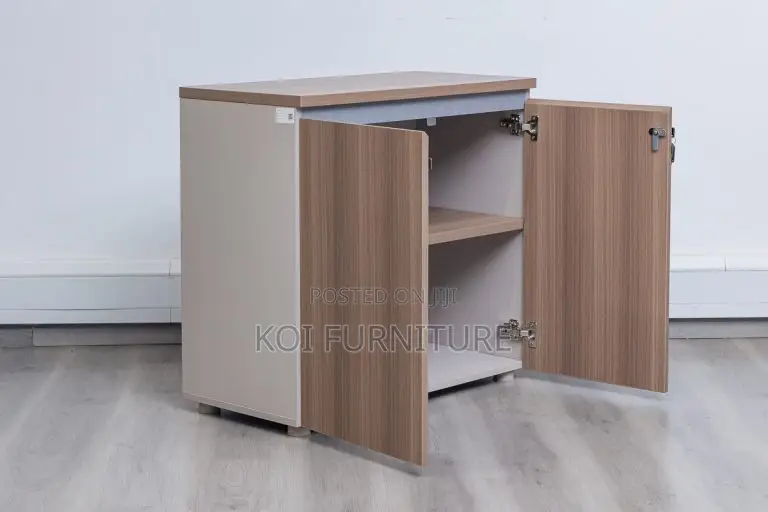 Office Cabinet : Two-Door Wooden Office Cabinet