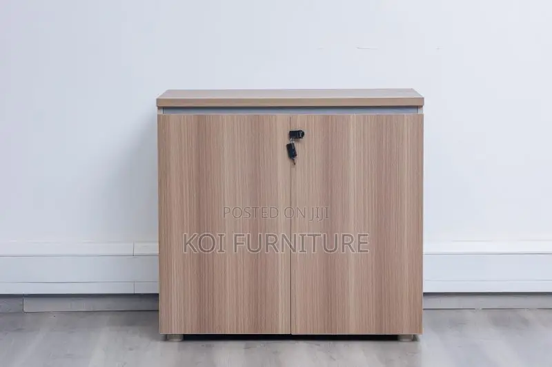 Office Cabinet : Two-Door Wooden Office Cabinet