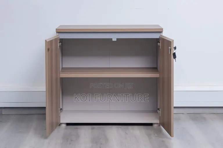 Office Cabinet : Two-Door Wooden Office Cabinet
