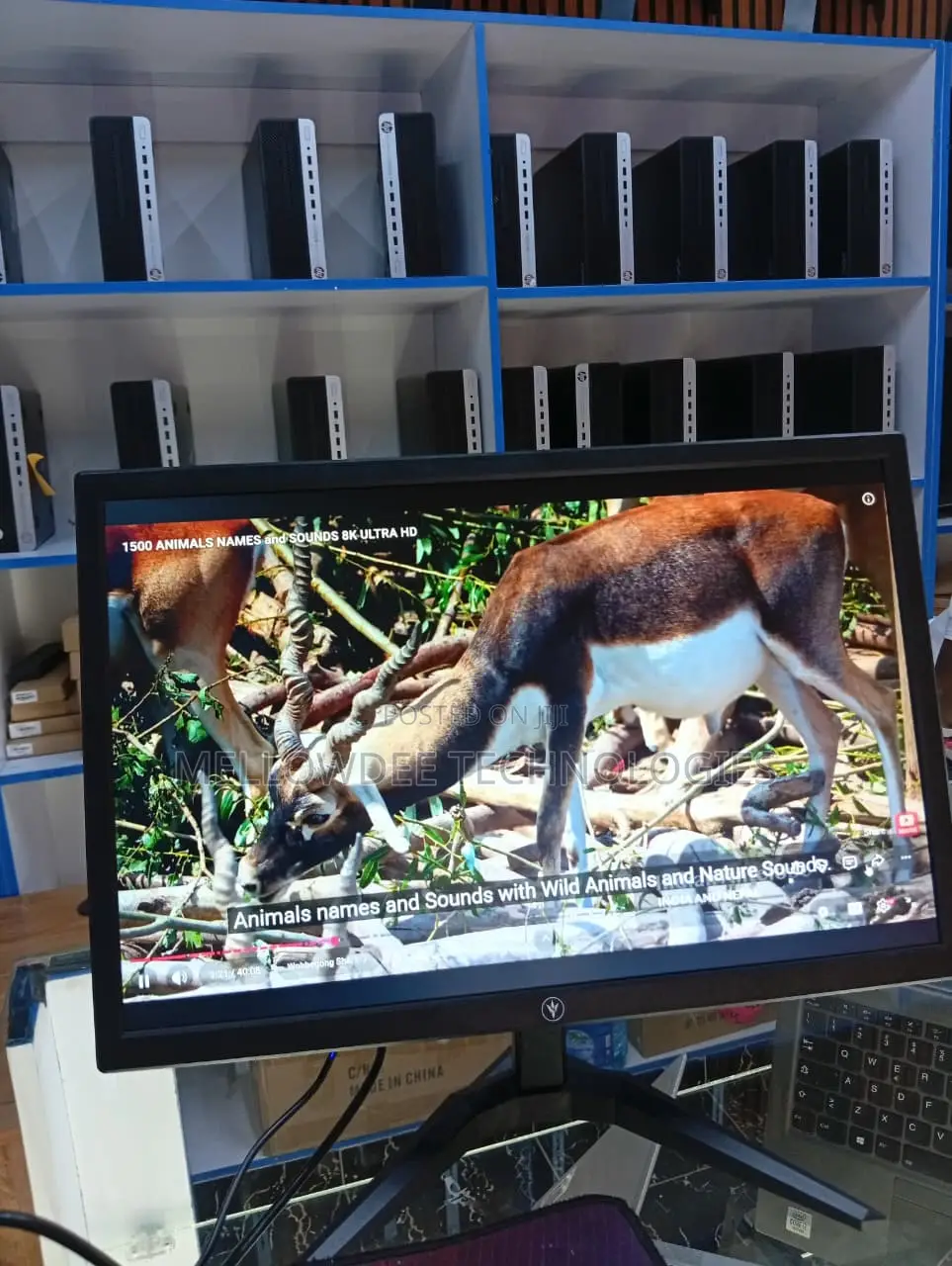 Brand New 19" Hd+ Monitor