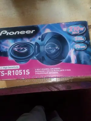 Pioneer 300w Speaker