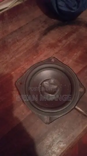 Medium Size Woofer Speaker 4 Months Old