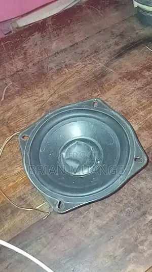 Medium Size Woofer Speaker 4 Months Old