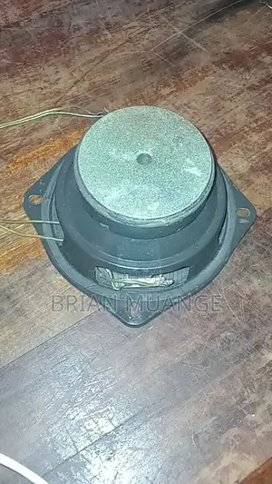 Medium Size Woofer Speaker 4 Months Old