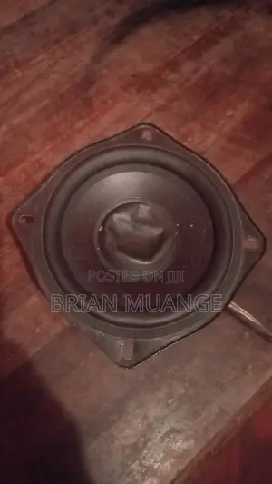 Medium Size Woofer Speaker 4 Months Old